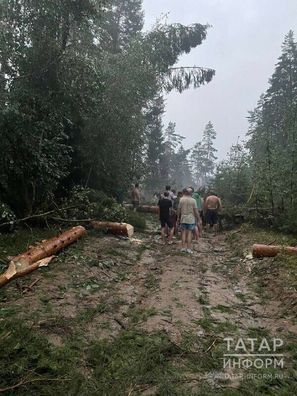 Татарстан районнарында көчле давыллар булып узды