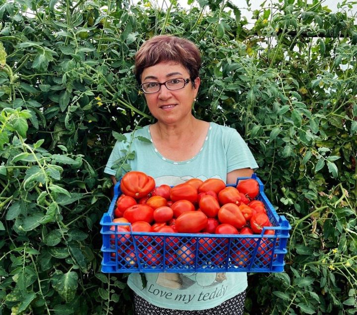 Людмила Барсуковадан кышка тәмле помидор рецепты