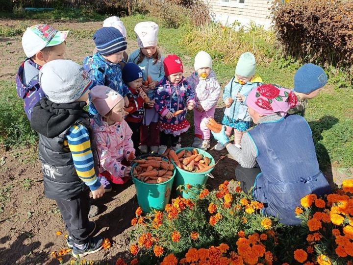 Дорга балалары көзге уңышка сөенә