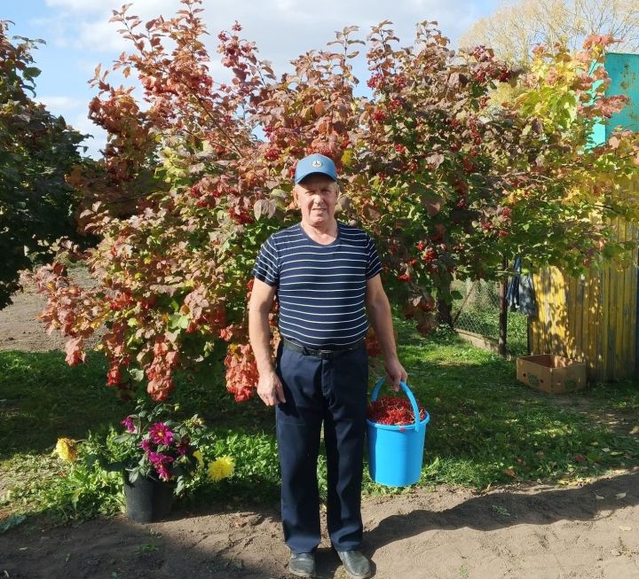 Доргадан Борис Андреев бакчасында үзе үстергән балан уңышы һәм файдасы турында сөйләде