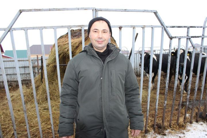 Сергей Цыганов из села Кадырово содержит 17 голов крупного рогатого скота