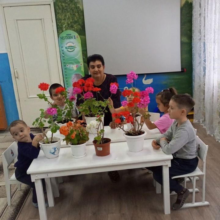 Үрәсбаш балалар бакчасындагы табигать почмагы чәчәкләргә бик бай