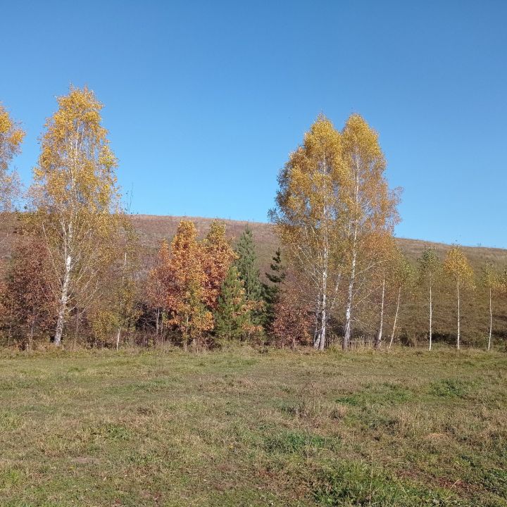 Кабан-Бастырык кызы Александра Ивановадан көзге матур фотолар