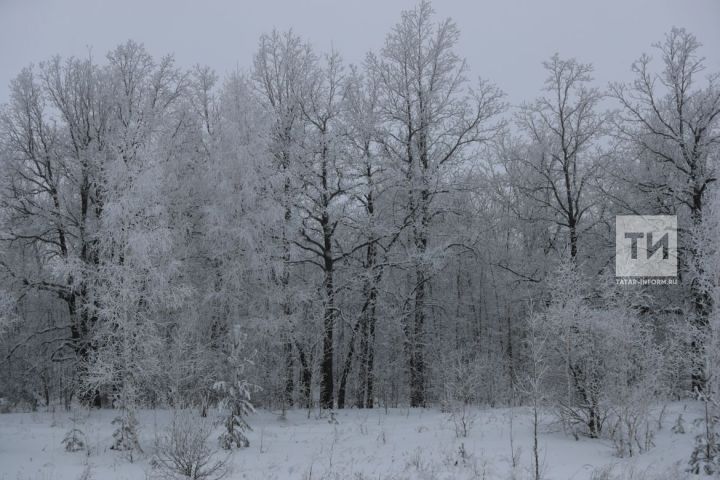 Март аенда кышкы һава торышы сакланачак