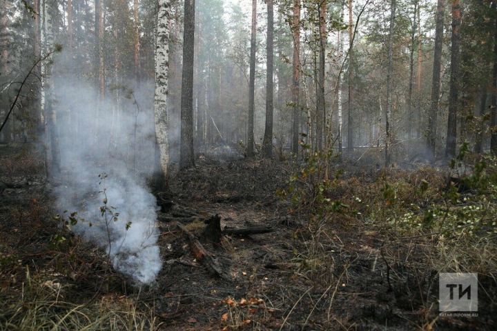 Татарстанда республикабыз территориясендә урман янгыннарын сүндерүнең җыелма планы расланды