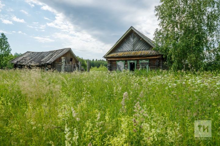 Саргаямын сагышлардан (хикәя)