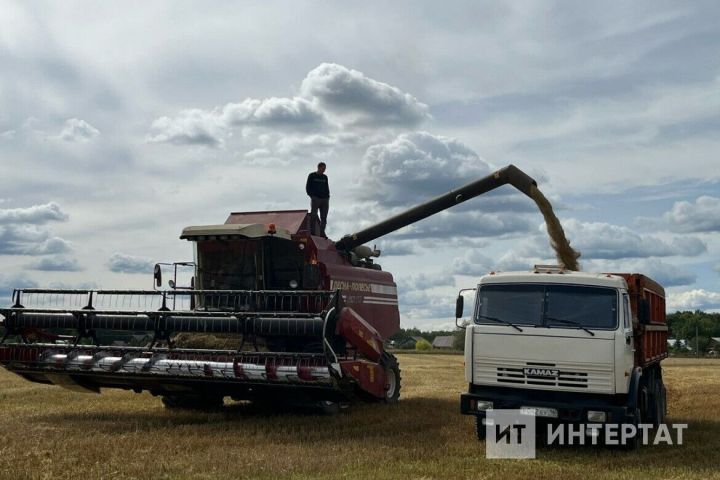 Республикабыз районнарындагы иген игүче карендәшләребез өчен урак өсте