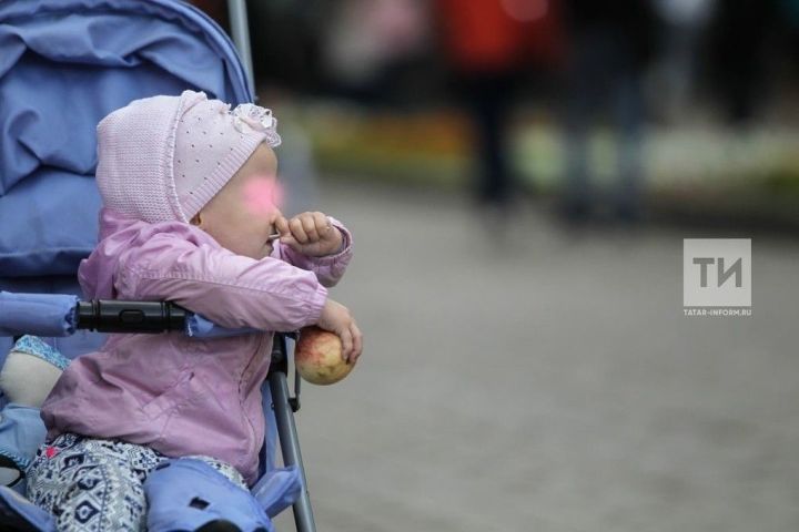 Кайбер гаиләләр өчен бала пособиеләре алуны гадиләштерергә ниятләнә