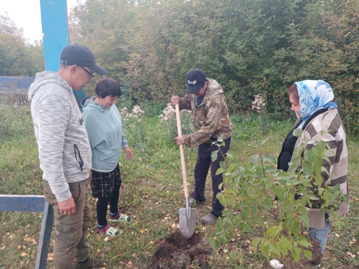 Керәшен Сәрдәсе мәдәният хезмәткәрләре «Дөнья агачы» акциясендә катнашкан
