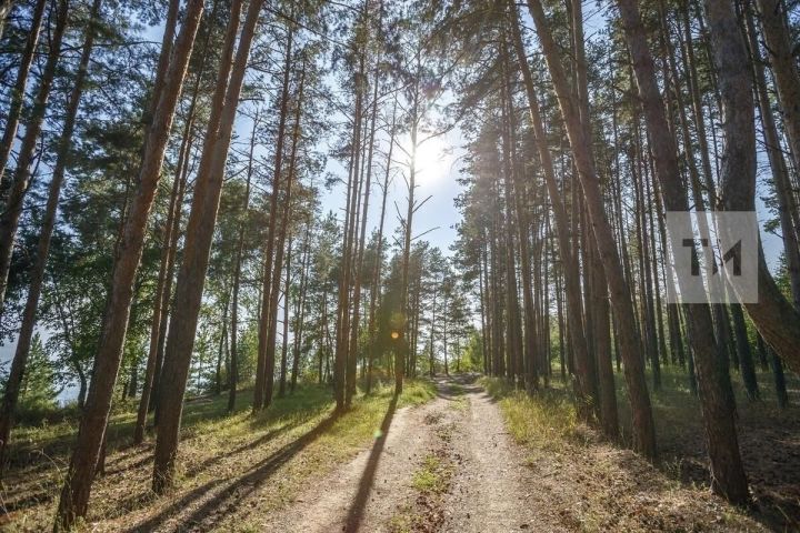 Янгын куркынычы югары булганлыктан кисәтү игълан ителде