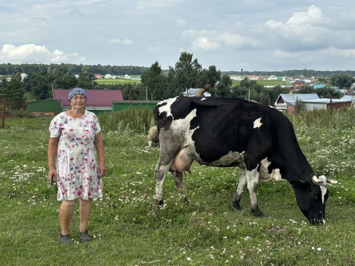 Иске Тәрбиттән Лариса Петухова 7 сыер асрый